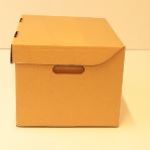 Die Cut Storage Box with Hinged Lid & Carry Hand holes