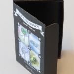 Die Cut Box with Hinged Lid - Litho Laminated exterior, Roller Coated Black Internally 