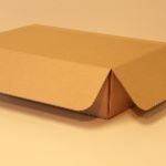Die Cut Box with Hinged Lid (Outside Closing) 