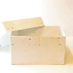 Coreflute Box with Separate Lid 