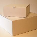 Die Cut Cake Boxes - White External - Kraft Brown internally 
