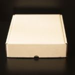 Die Cut C4 Postal Box with Hinged Lid (Stock Line) Kraft Inside - White Outside - 325x260x70mm 